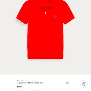 Polo Ralph Lauren boys 2T mesh polo shirts. Bundle of 3 polo shirts.